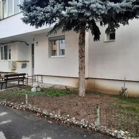 Chrysanthemum Apartment Sighisoara Exterior photo