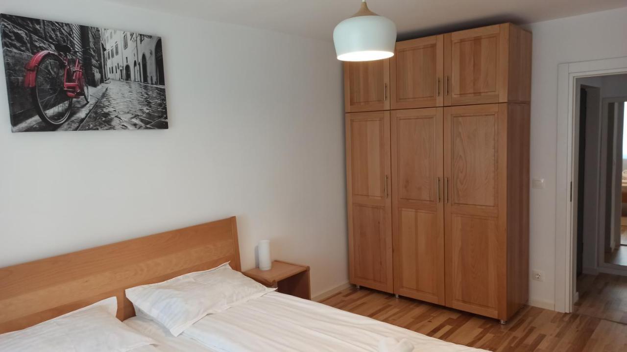 Apartment Chrysanthemum Sighisoara
