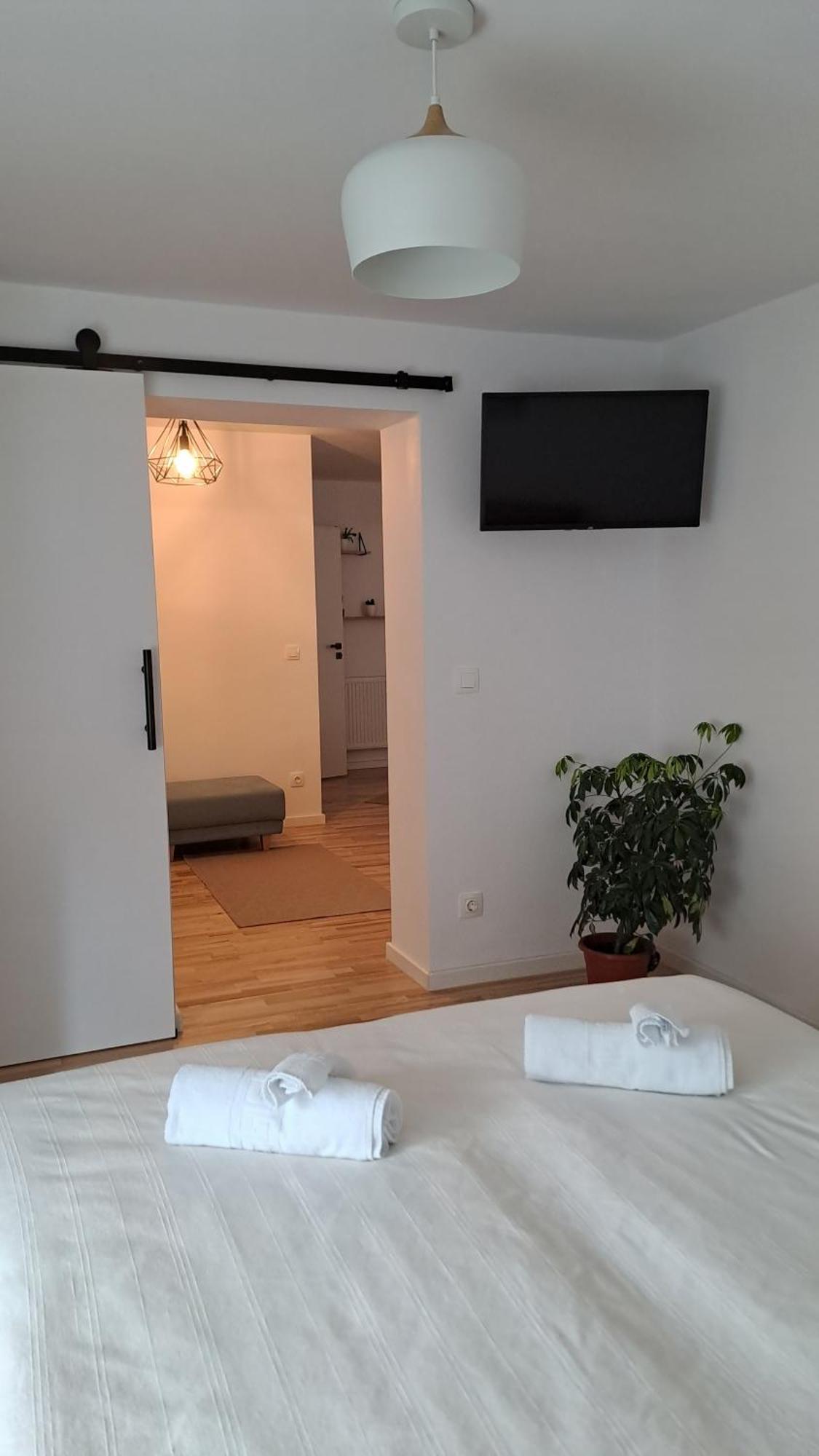 Apartment Chrysanthemum *