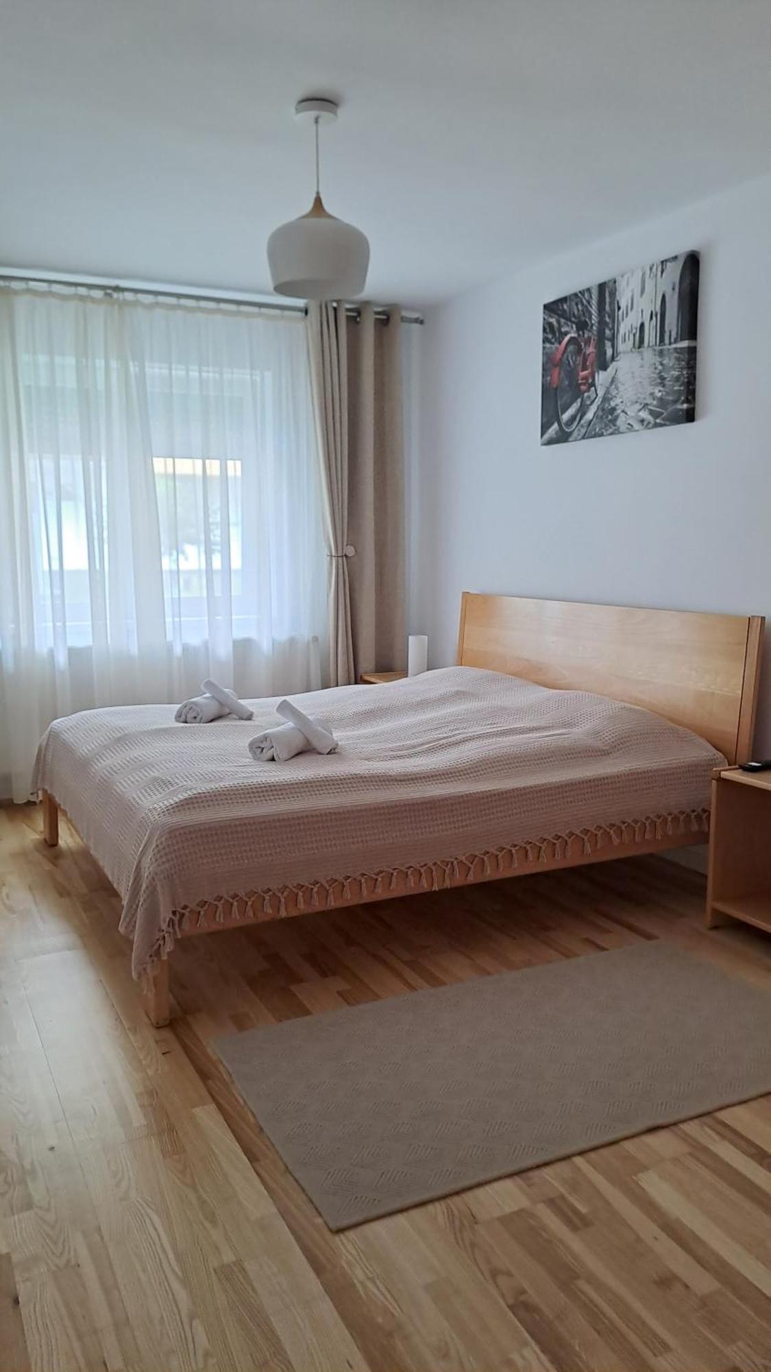 Apartment Chrysanthemum